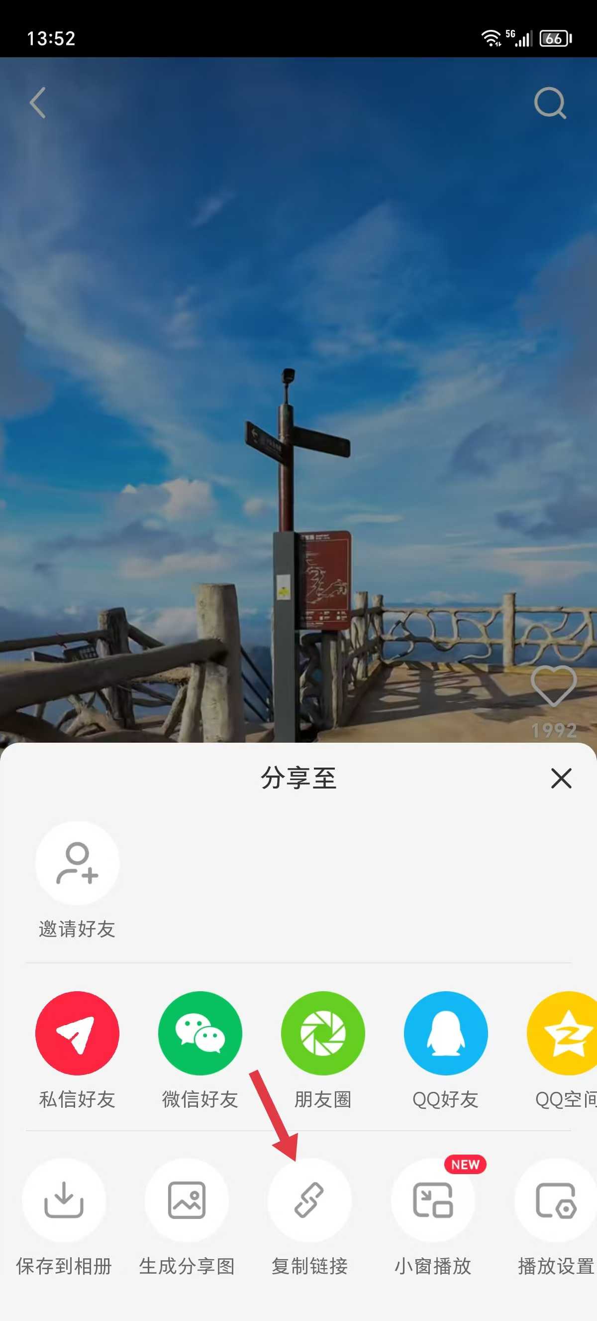 8671750398890_.pic.jpg