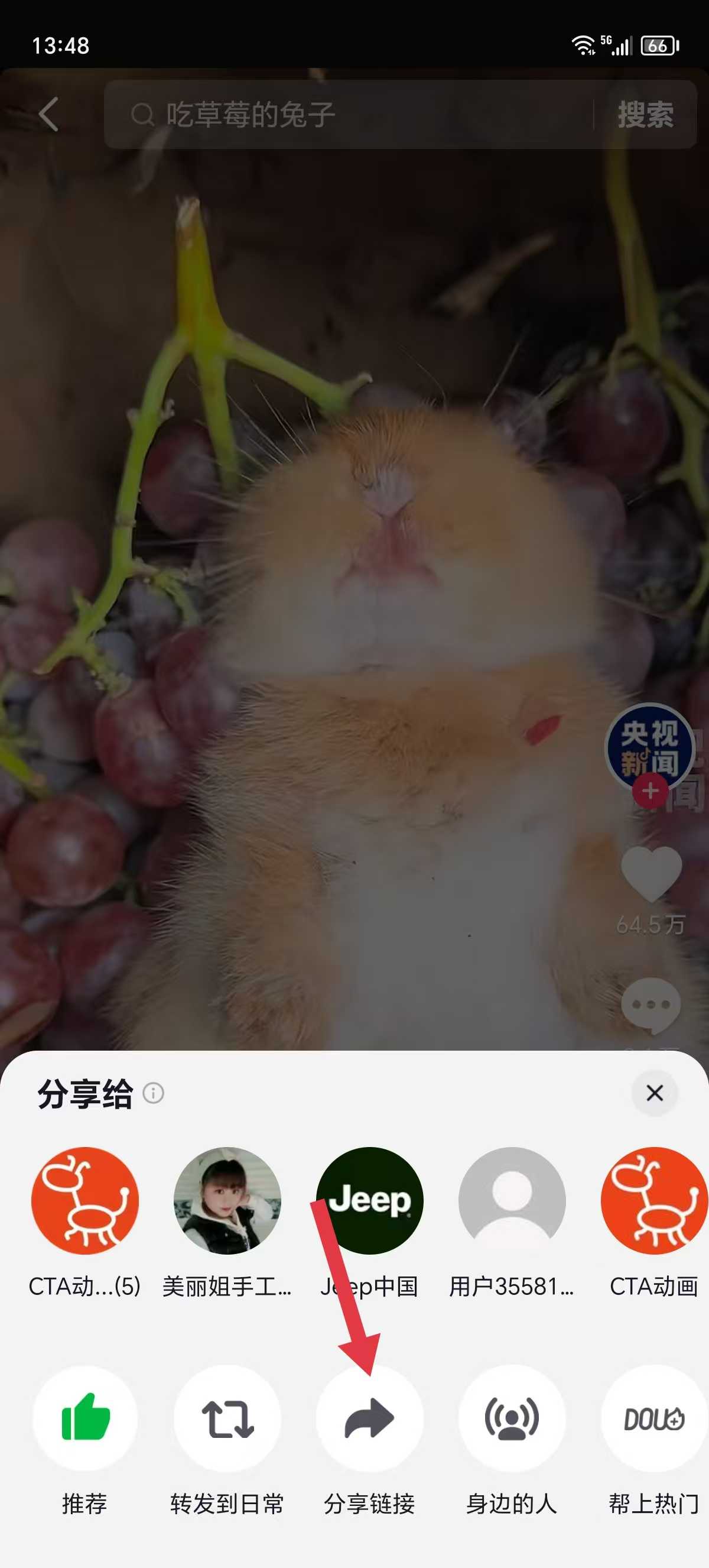 8631750398886_.pic.jpg